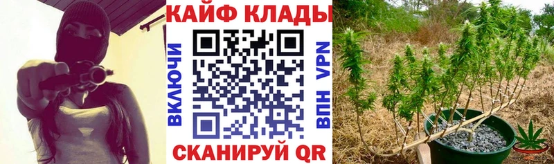 Купить A-PVP  Мефедрон  Псилоцибиновые грибы  Кокаин  БУТИРАТ  Марихуана  Железноводск